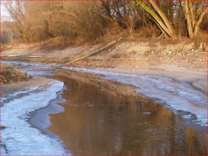 20180114_web_mordstour_geisenheim_altrheinarm